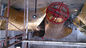 বড় ব্রোঞ্জযুক্ত জাল ধাতব ভাস্কর্য বহিরঙ্গন লোগো ধাতব উদ্যান মূর্তি