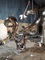 বড় বিমূর্ত স্টেইনলেস স্টীল বাঁকা ভাস্কর্য বহিরঙ্গন বাগান পুল প্রসাধন